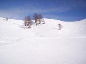 21 Parecchia neve